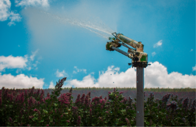 DEFINIRE LE TECNICHE AGRONOMICHE A BASSO IMPATTO AMBIENTALE