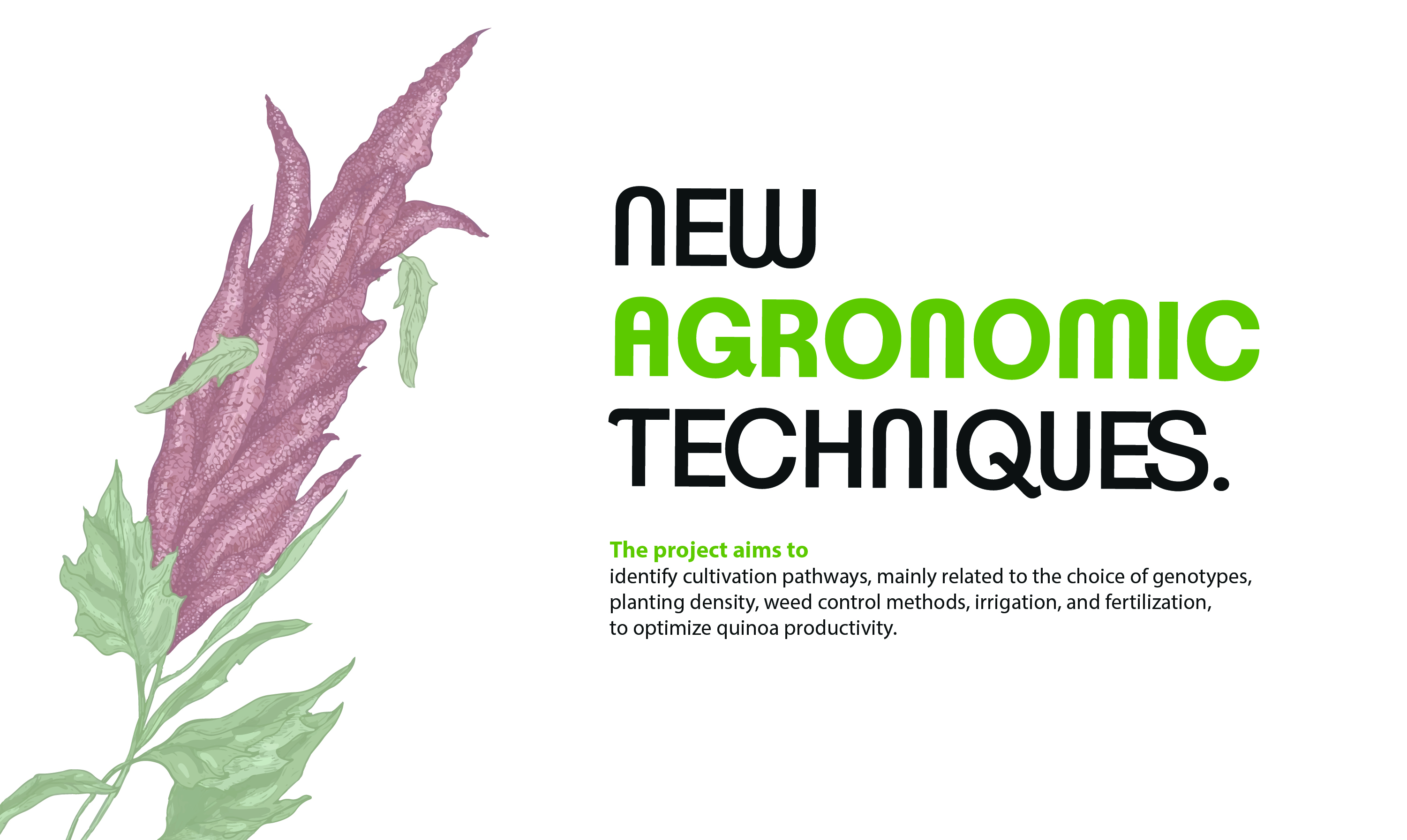 agronomiche