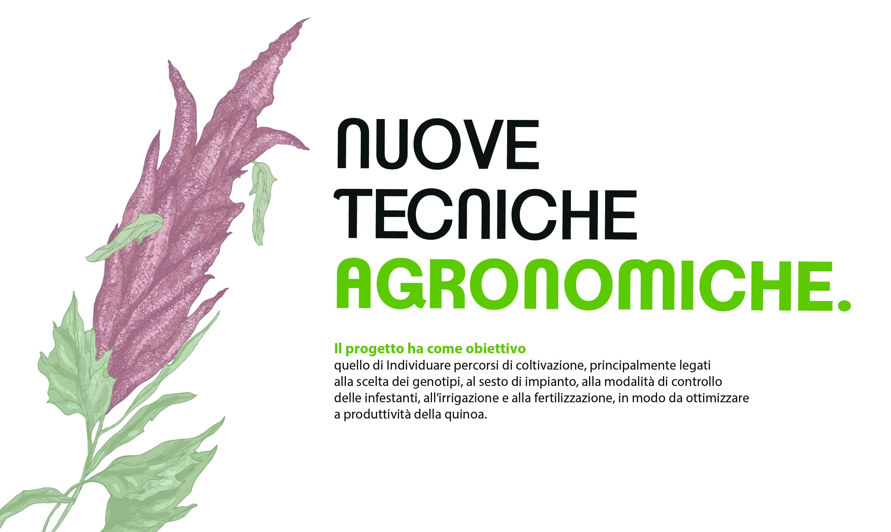 agronomiche